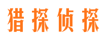 谷城调查公司